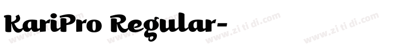 KariPro Regular字体转换